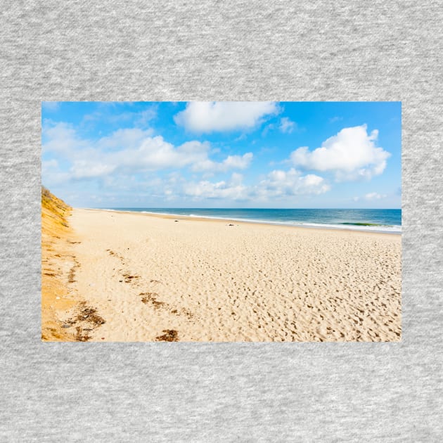 Nauset Beach,  Seashore along beach with view to horizon. Cape Cod, USA.  imagine this on a  card or gracing your room as wall art fine art canvas or framed print on your wall by brians101